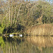 Langstone Mill Pond