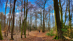 SSC 431. - 28.02.2026 - Bildformat: 16:9