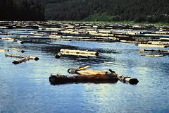 Flottage de bois au Canada