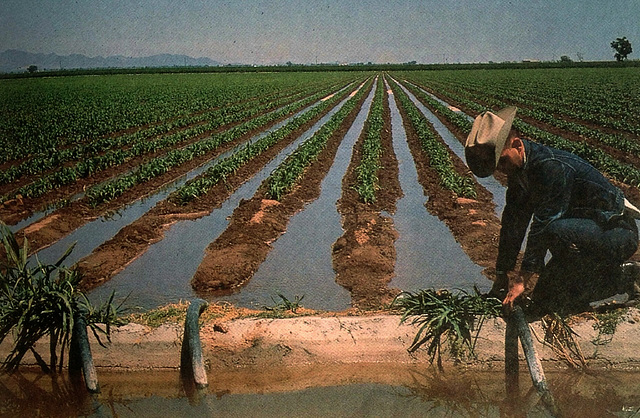 Irrigation