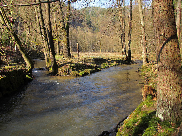 Flößersteig an der Kirnitzsch