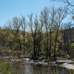 Allée printanière Allée printanière