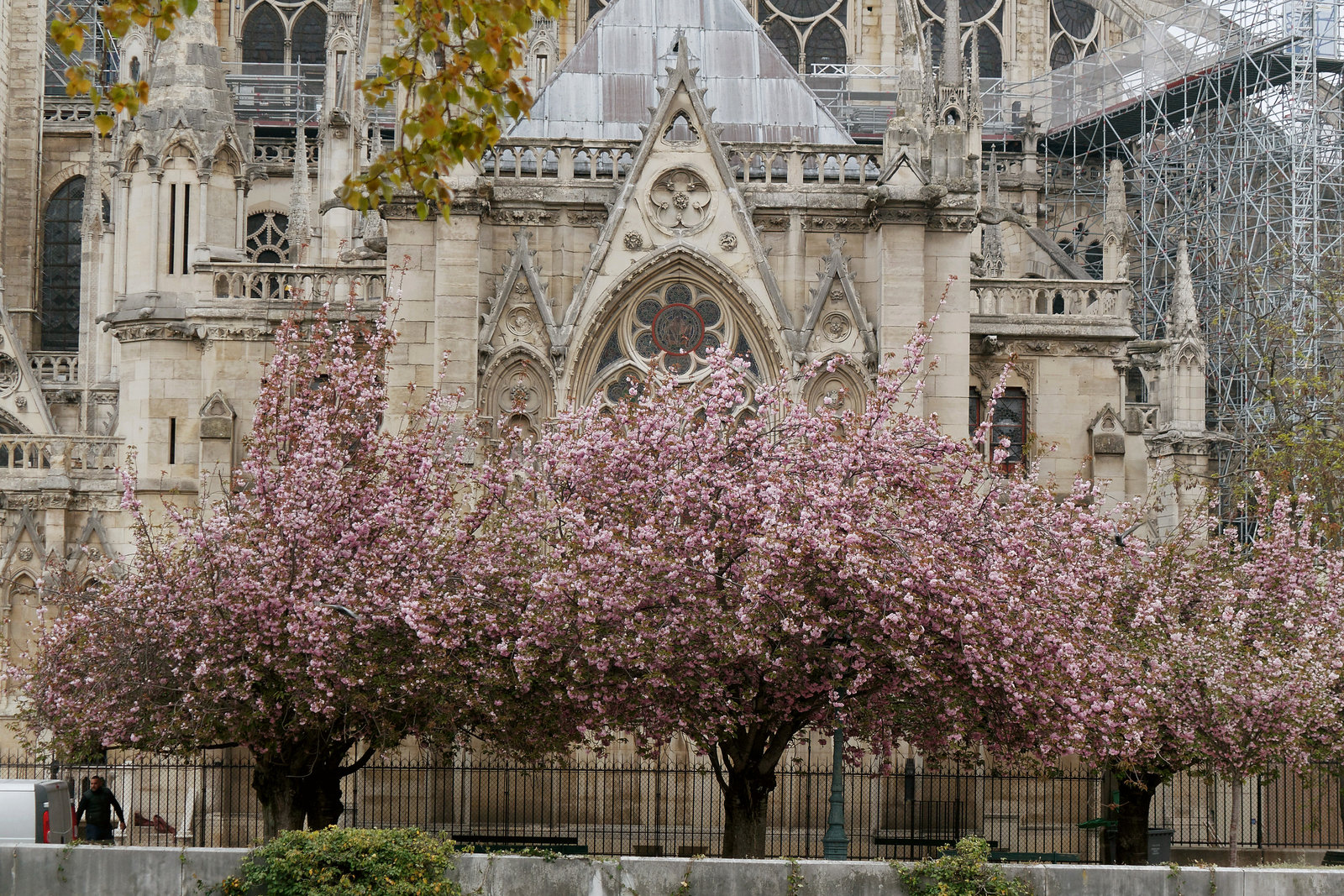 Notre-Dame