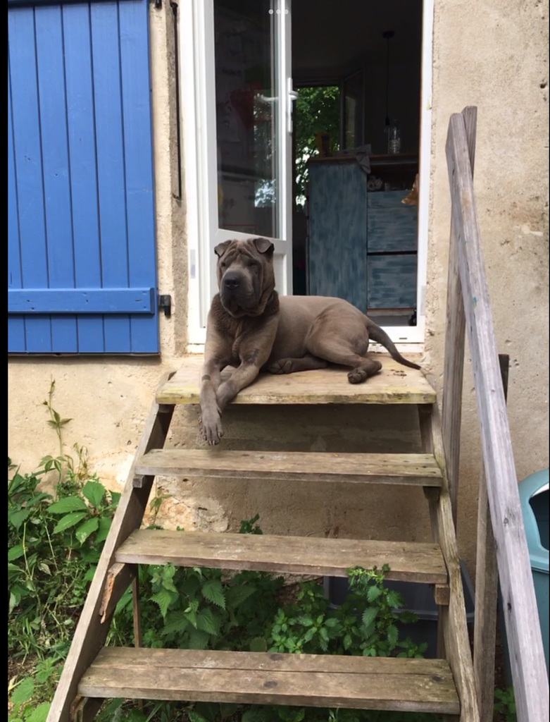 Porte gardée !