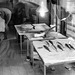 the little fish shop