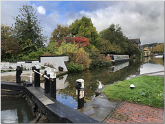 The Grand Union Canal at Berkhamsted