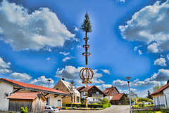 Maibaum in Täferrot