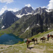 Krishansar Lake/ Gadsar Pass (4180m)