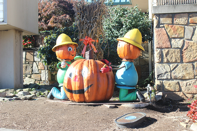 :))))   more Pumpkin People popping up in my Photos :)))) they are abundant in down town Gatlinburg ! :))  whimsical and fun  !!