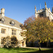 Shadow tree, Magdalen College, Oxford