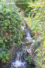 The Rock Garden the top level cascade - Preston Park - Brighton - 5 10 2023