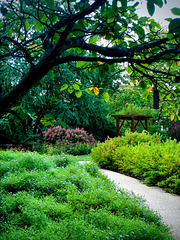 Garden Gazebo