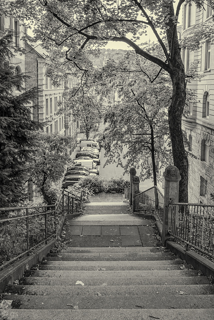 11/50 Willy-Reichert-Staffel