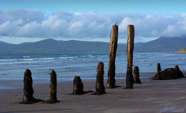 Rossbeigh blues