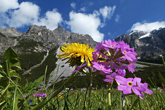 Am Bergweg