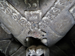 radbourne church, derbs; ss livery collar with red rose on late c15 de la pole tomb