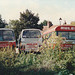 At Rule’s Coaches yard in Boxford – 27 Sep 1995 (286-17)
