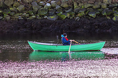 Rowing Boat