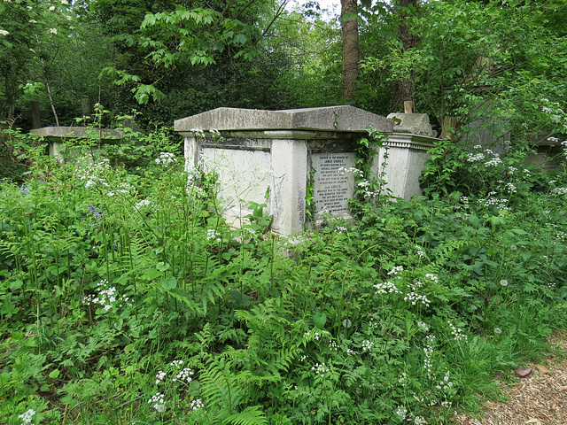 abney park cemetery, london,james esdaile, 1864, "he being dead yet speaketh"