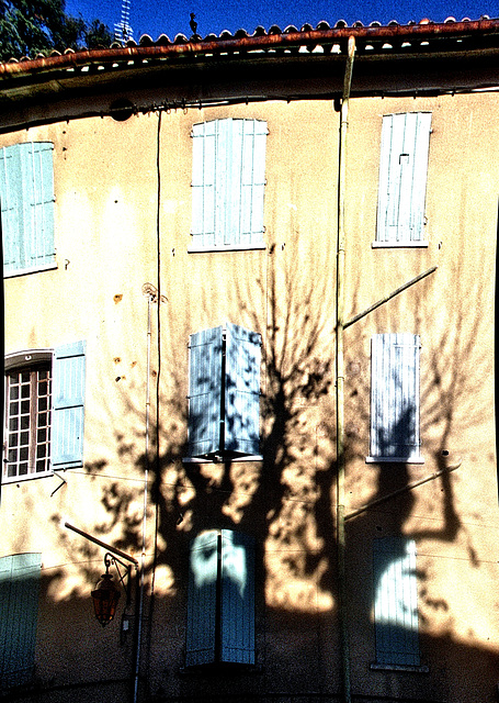 Provence - Bedoin - Hiver