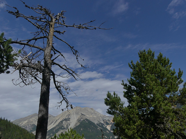 20180827 -0901 Randos Névache (Vallée de la Clarée 05) (155) al