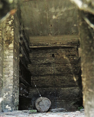 brompton cemetery, london     (75)