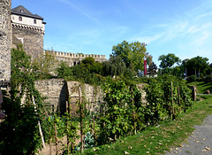 DE - Andernach - Essbare Stadt