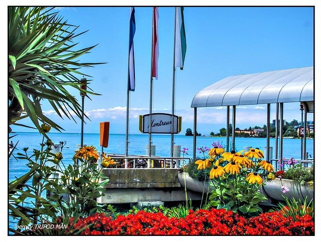 Montreux