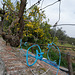 Penedos, Blue rope and lemon tree