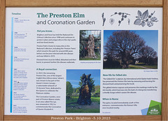 Preston Park - The Gilded Elm - information panel - 5.10