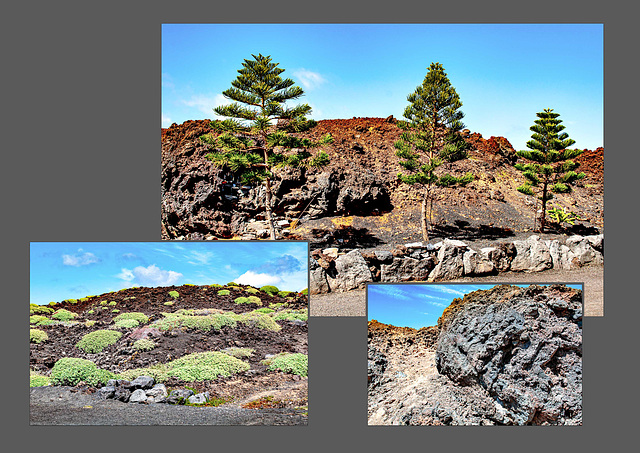 Lanzarote