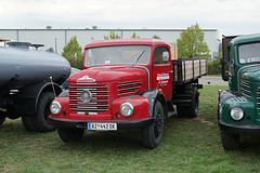 Wörnitz 2015 316