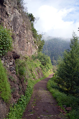 Der Weg scheint eine angenehme Wanderung zu Versprechen