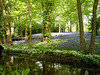 Bluebells tapestry.