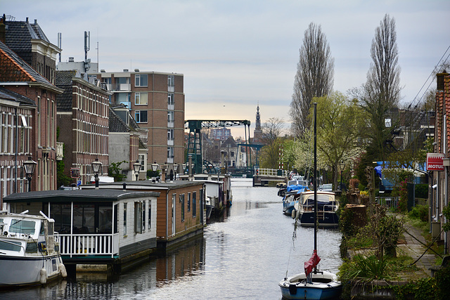 View of the Nieuwe Rijn