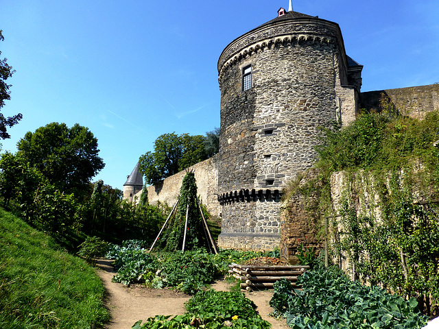 DE - Andernach - Essbare Stadt