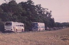 Coaches on the old A11 at Barton Mills – 15 Jul 1984 (X841-19)
