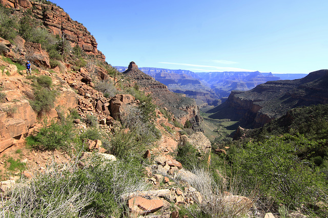 Bright Angel Trail