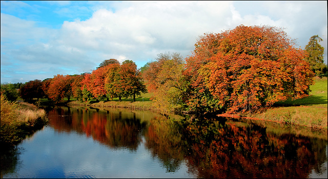 Autumn View