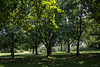20140801 4486VRAw [D~E] Gruga-Park, Essen