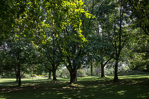 20140801 4486VRAw [D~E] Gruga-Park, Essen