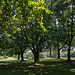 20140801 4486VRAw [D~E] Gruga-Park, Essen