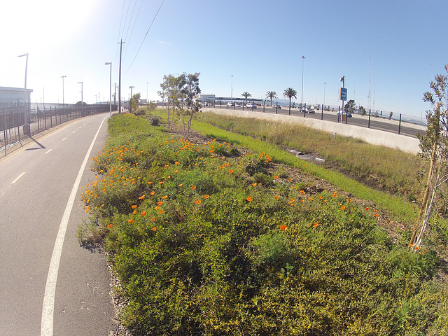 Alexander Zuckermann Bicycle-Pedestrian Path (0016)