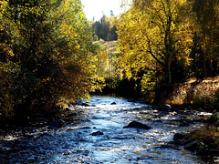 Autumn morning