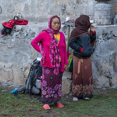 Colourful Porters