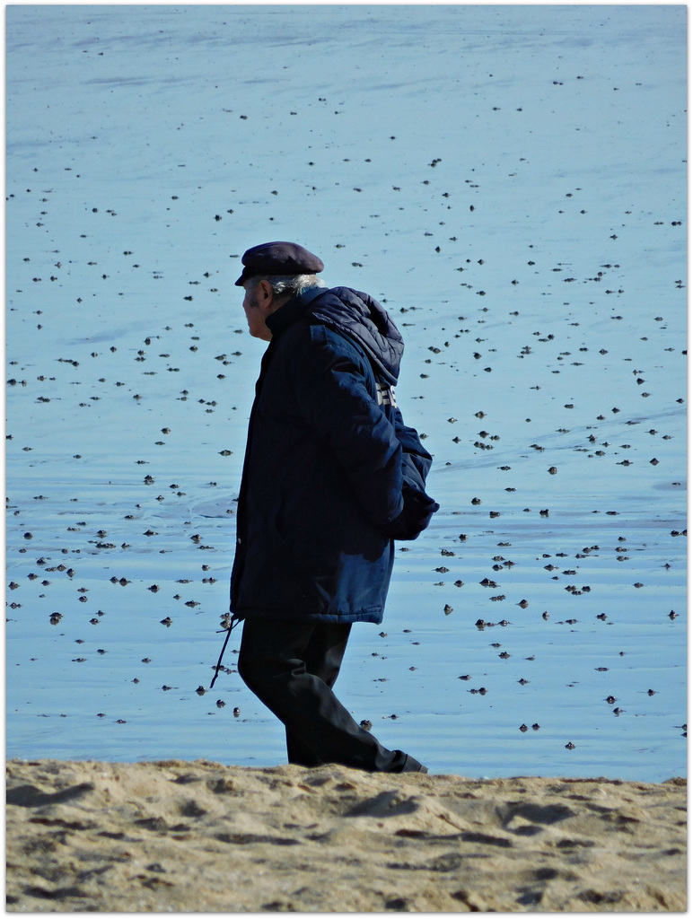le vieil homme et la mer