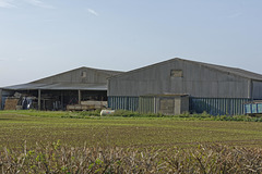 Farm buildings