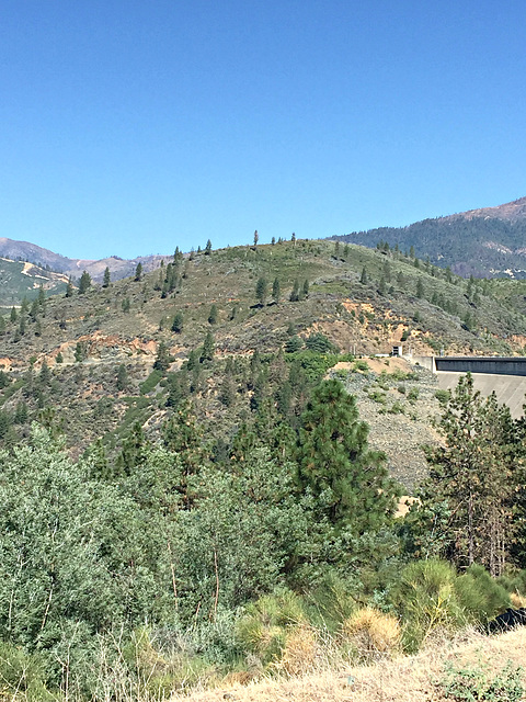 Surroundings of Shasta Dam