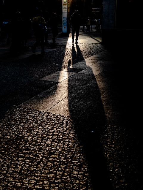 Shadow Shadow