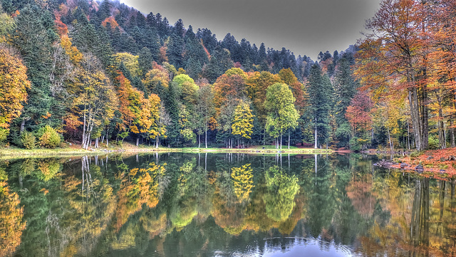 BALLON D'ALSACE: Etang des belles filles.06